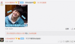 91成情直播,揭秘网红直播背后的故事与魅力