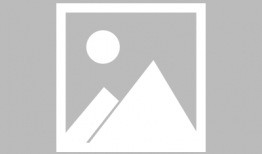 全职猎人动漫,梦想与现实的交织，猎人的荣耀之路