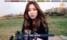 新黑暗圣经动漫,探寻末世异域的黑暗力量与命运交织